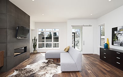 Professional Painting Services